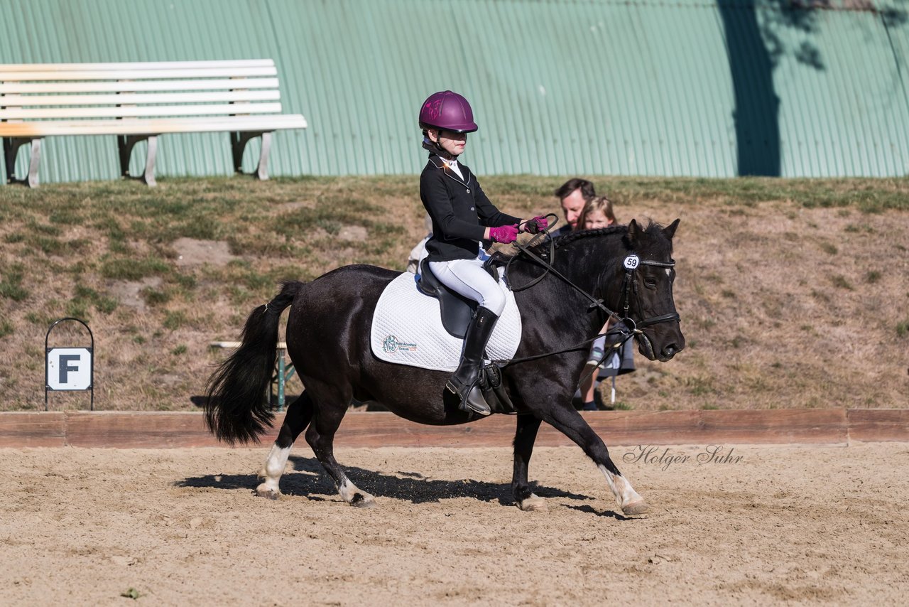 Bild 71 - Pony Akademie Turnier